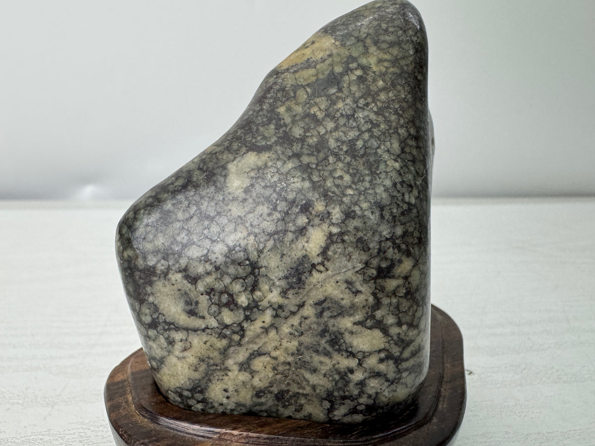 Y11131 OKIMONO Plum Blossom Raw Viewing stone wooden stand Japan antique decor