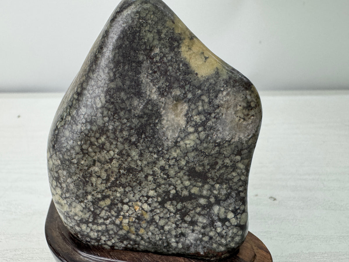 Y11131 OKIMONO Plum Blossom Raw Viewing stone wooden stand Japan antique decor