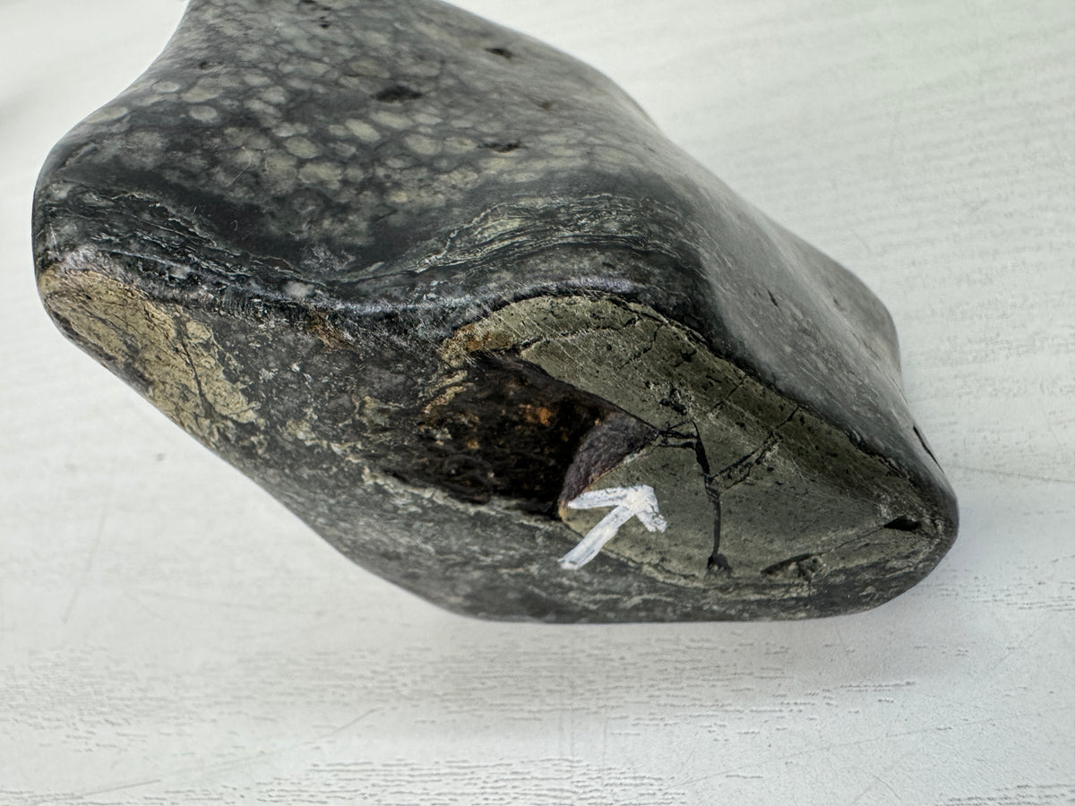 Y11131 OKIMONO Plum Blossom Raw Viewing stone wooden stand Japan antique decor