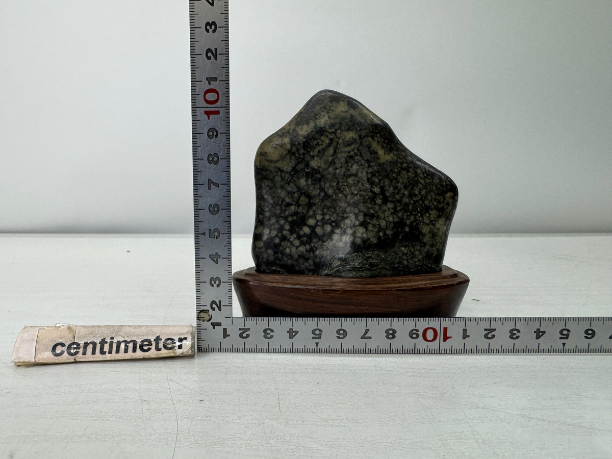 Y11131 OKIMONO Plum Blossom Raw Viewing stone wooden stand Japan antique decor