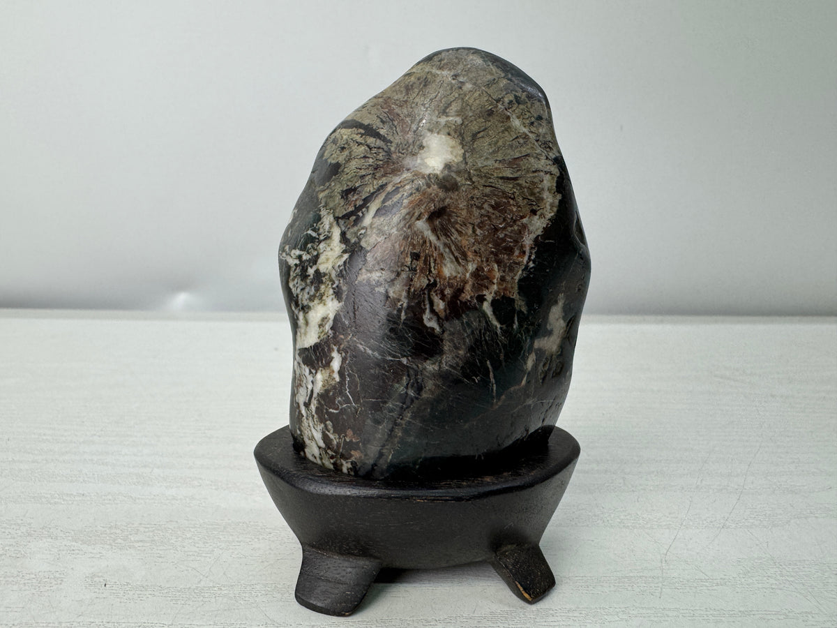 Y11132 OKIMONO Chrysanthemum stone wooden stand Japan antique interior ornament