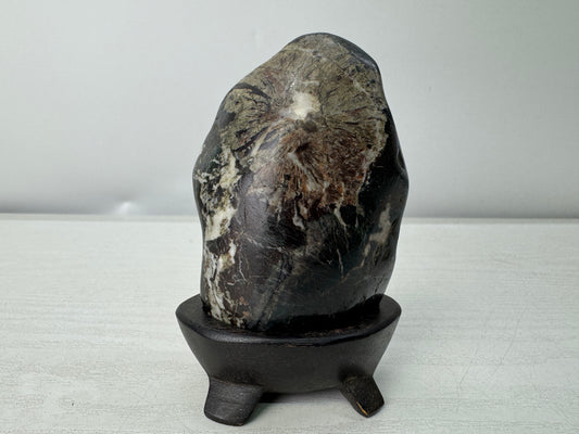 Y11132 OKIMONO Chrysanthemum stone wooden stand Japan antique interior ornament
