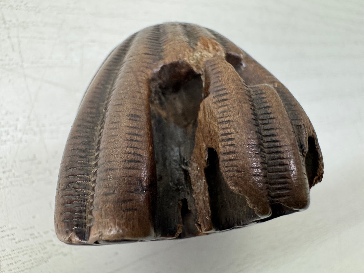 Y11147 NETSUKE wood carving Beehive Japan antique kimono accessory fashion