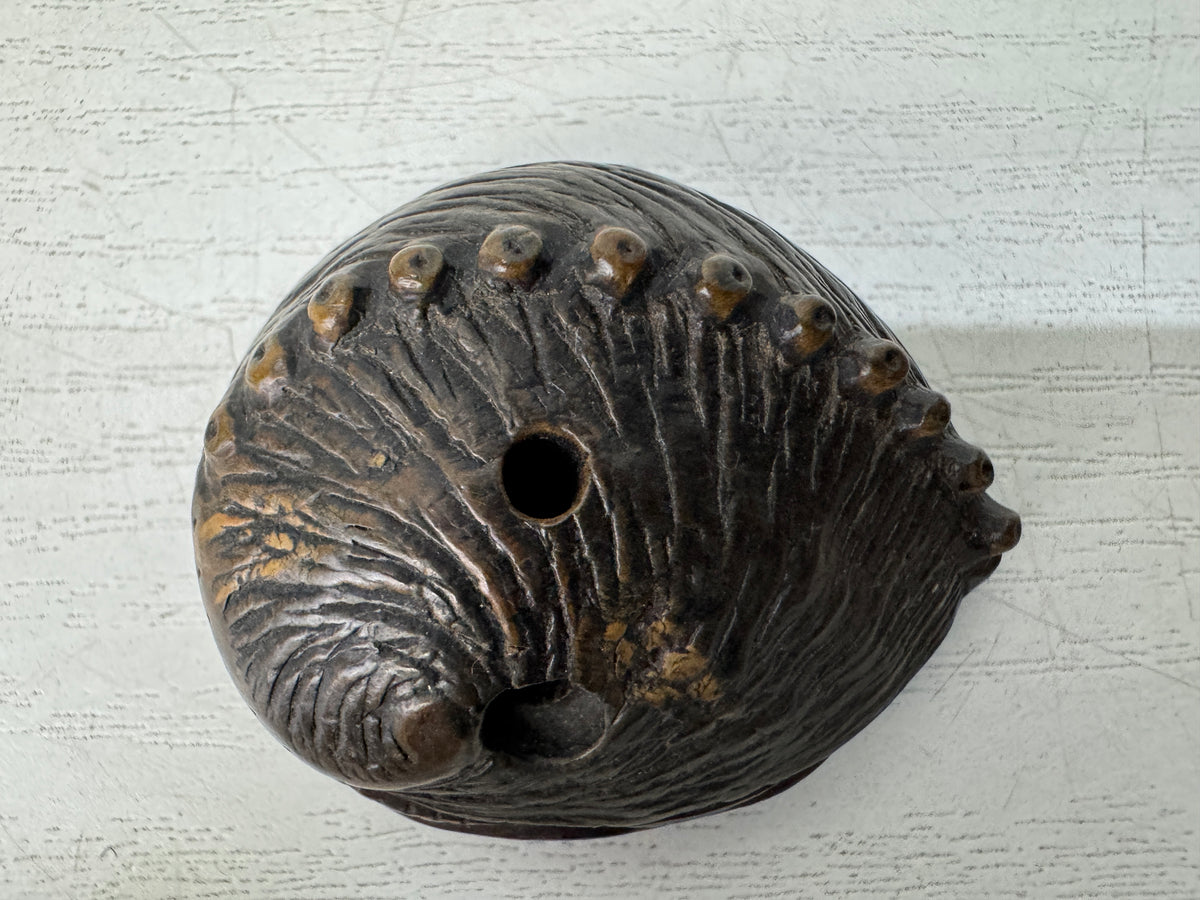 Y11149 NETSUKE wood carving Abalone Japan antique kimono accessory fashion