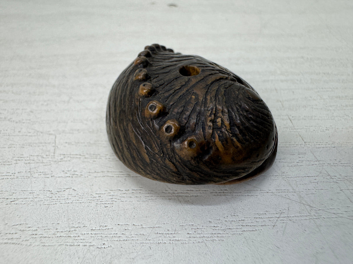Y11149 NETSUKE wood carving Abalone Japan antique kimono accessory fashion