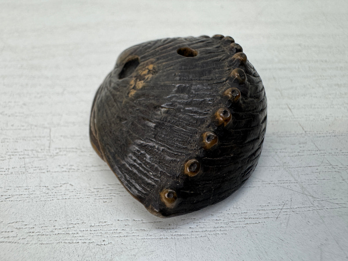 Y11149 NETSUKE wood carving Abalone Japan antique kimono accessory fashion