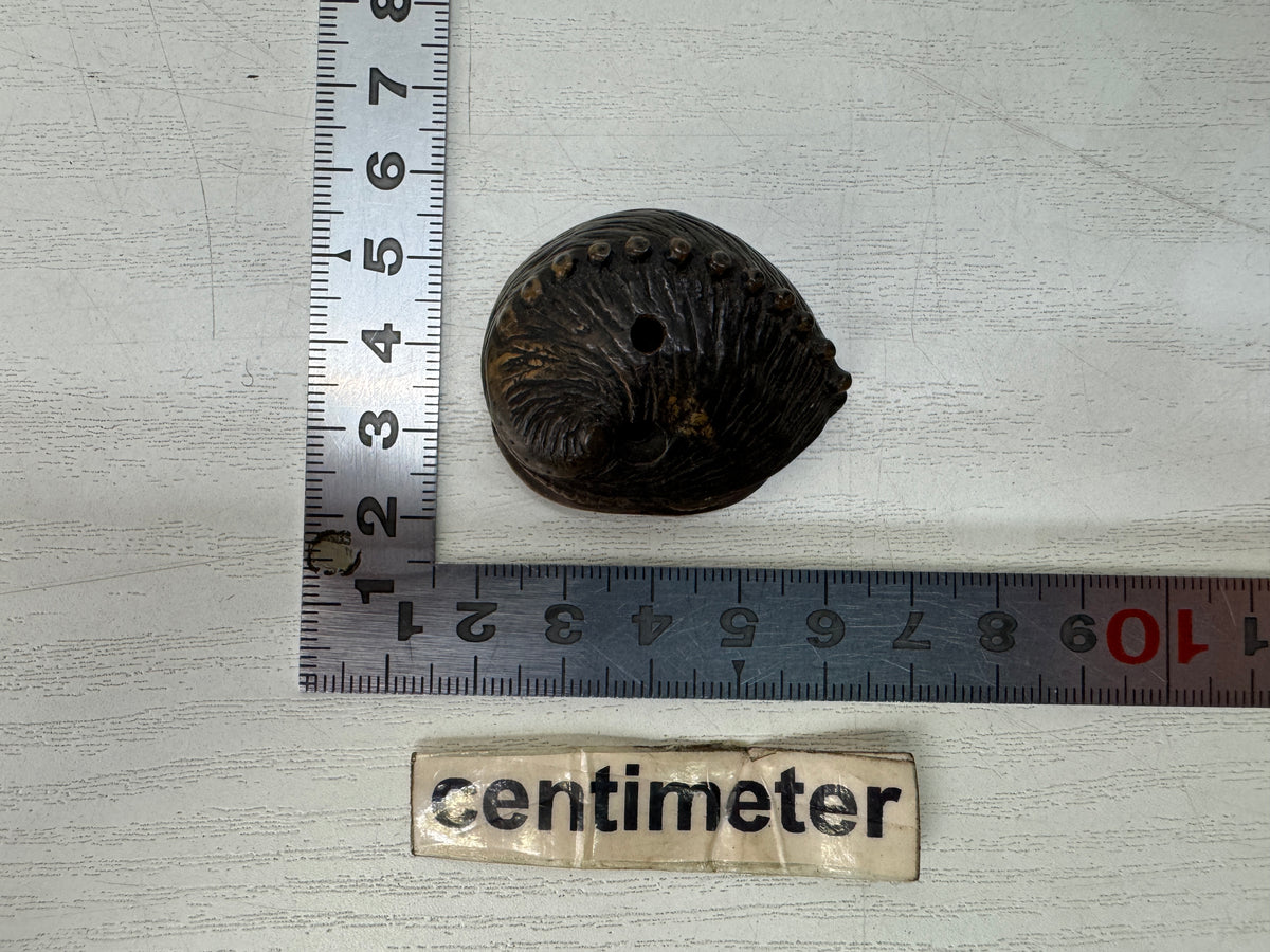 Y11149 NETSUKE wood carving Abalone Japan antique kimono accessory fashion