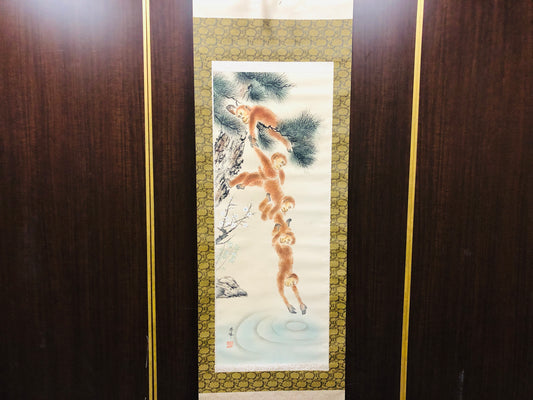 Y7161 KAKEJIKU Pine Monkey signed box Japan antique hanging scroll art decor