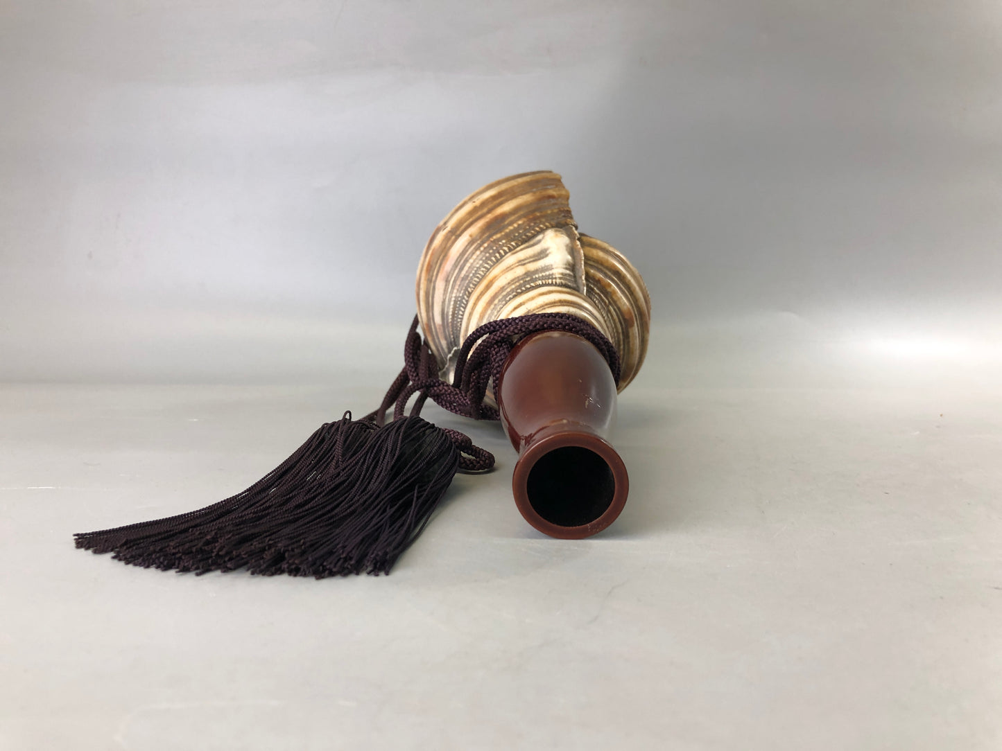 Y7384 HORAGAI conch trumpet lacquered mouthpiece music Japan antique vintage