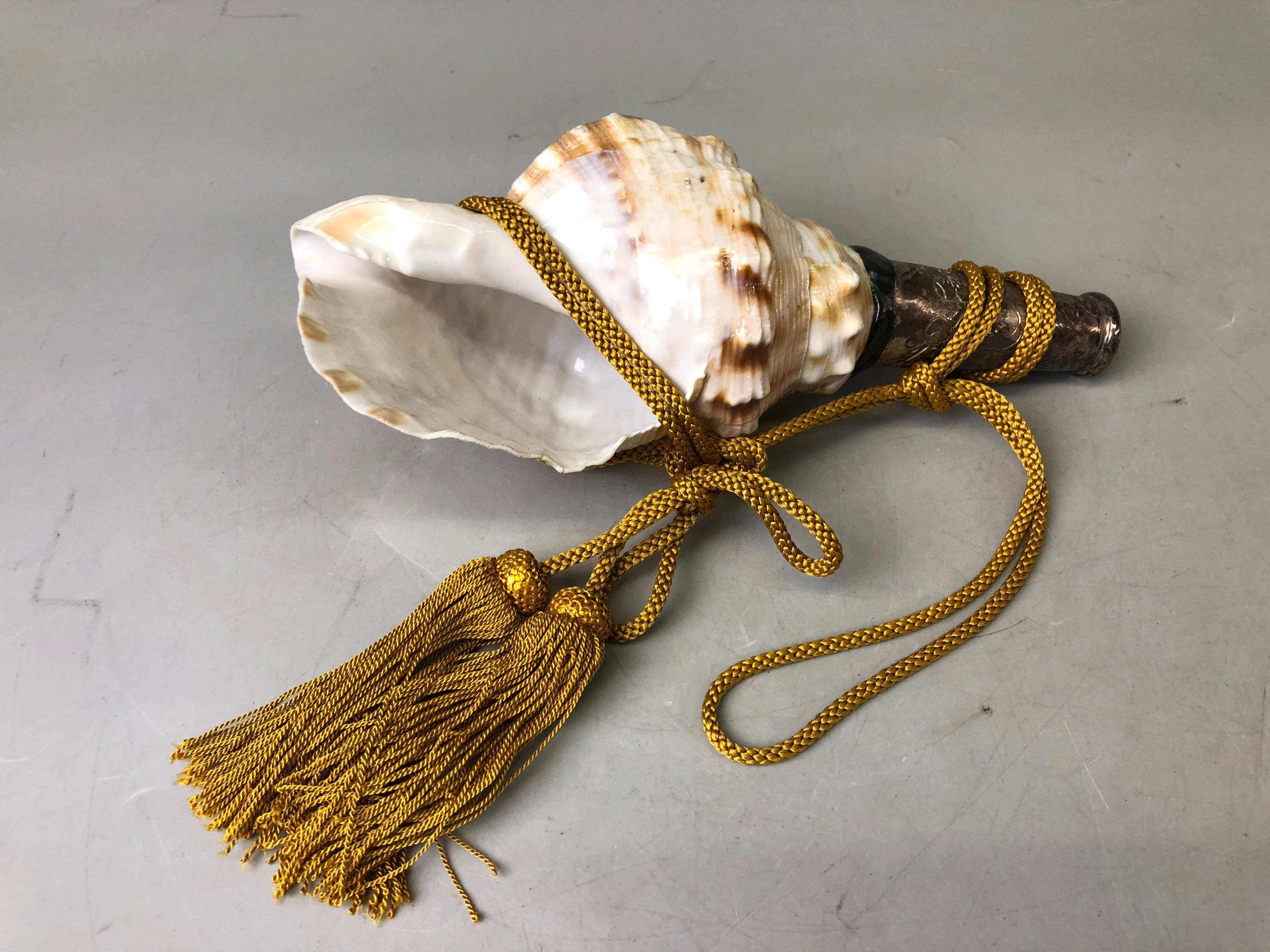 Y7627 Buddhist Altar Equipment Conch shell music instrument Japan Budd ...