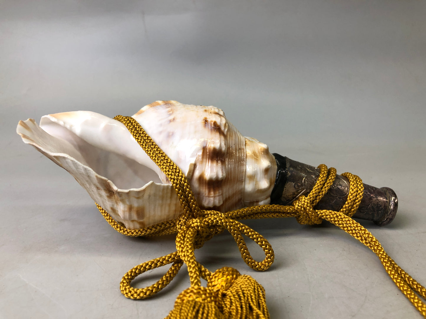 Y7627 Buddhist Altar Equipment Conch shell music instrument Japan Buddhism