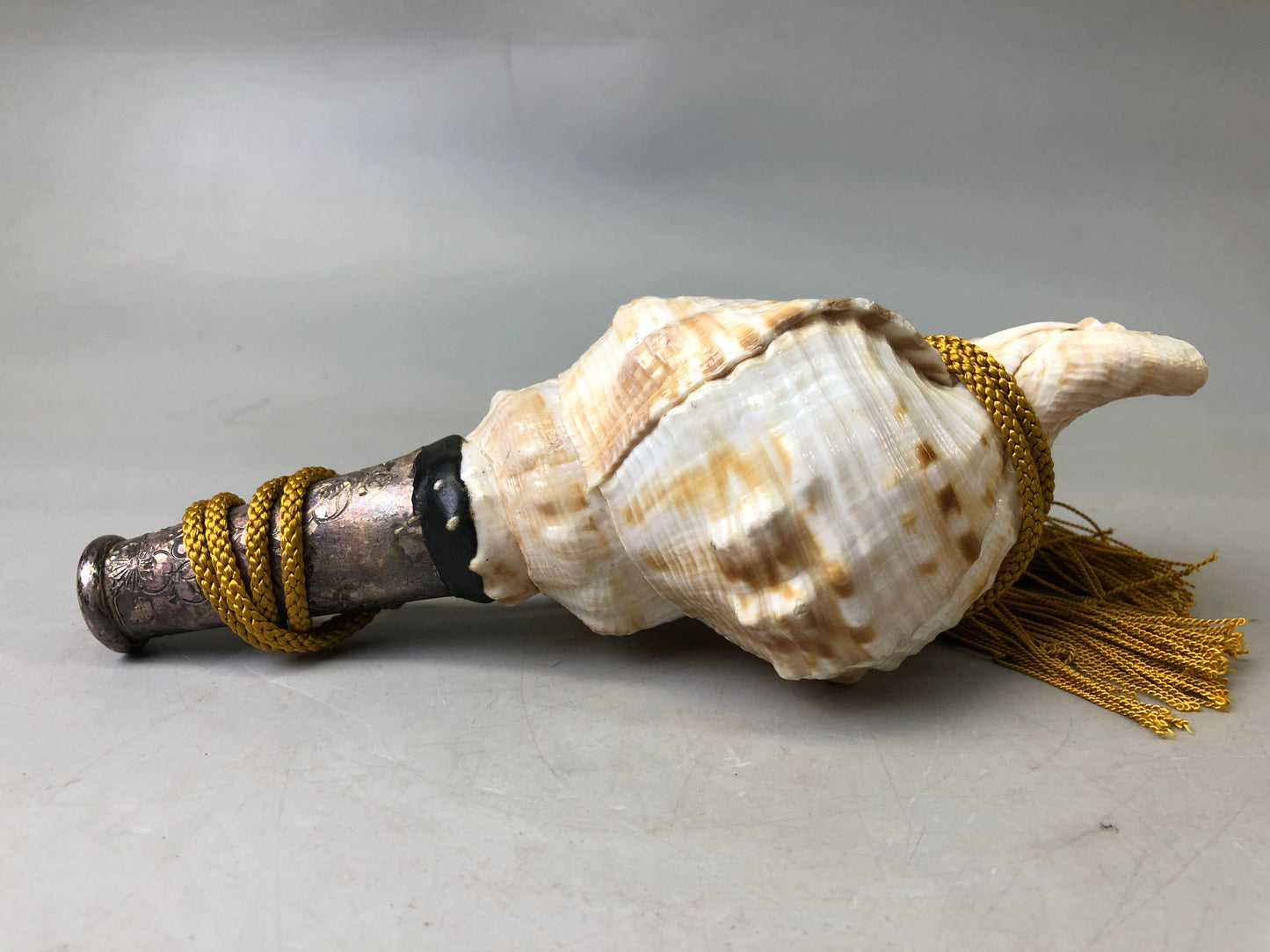 Y7627 Buddhist Altar Equipment Conch shell music instrument Japan Buddhism