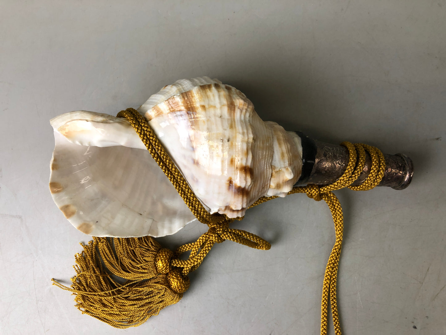 Y7627 Buddhist Altar Equipment Conch shell music instrument Japan Buddhism