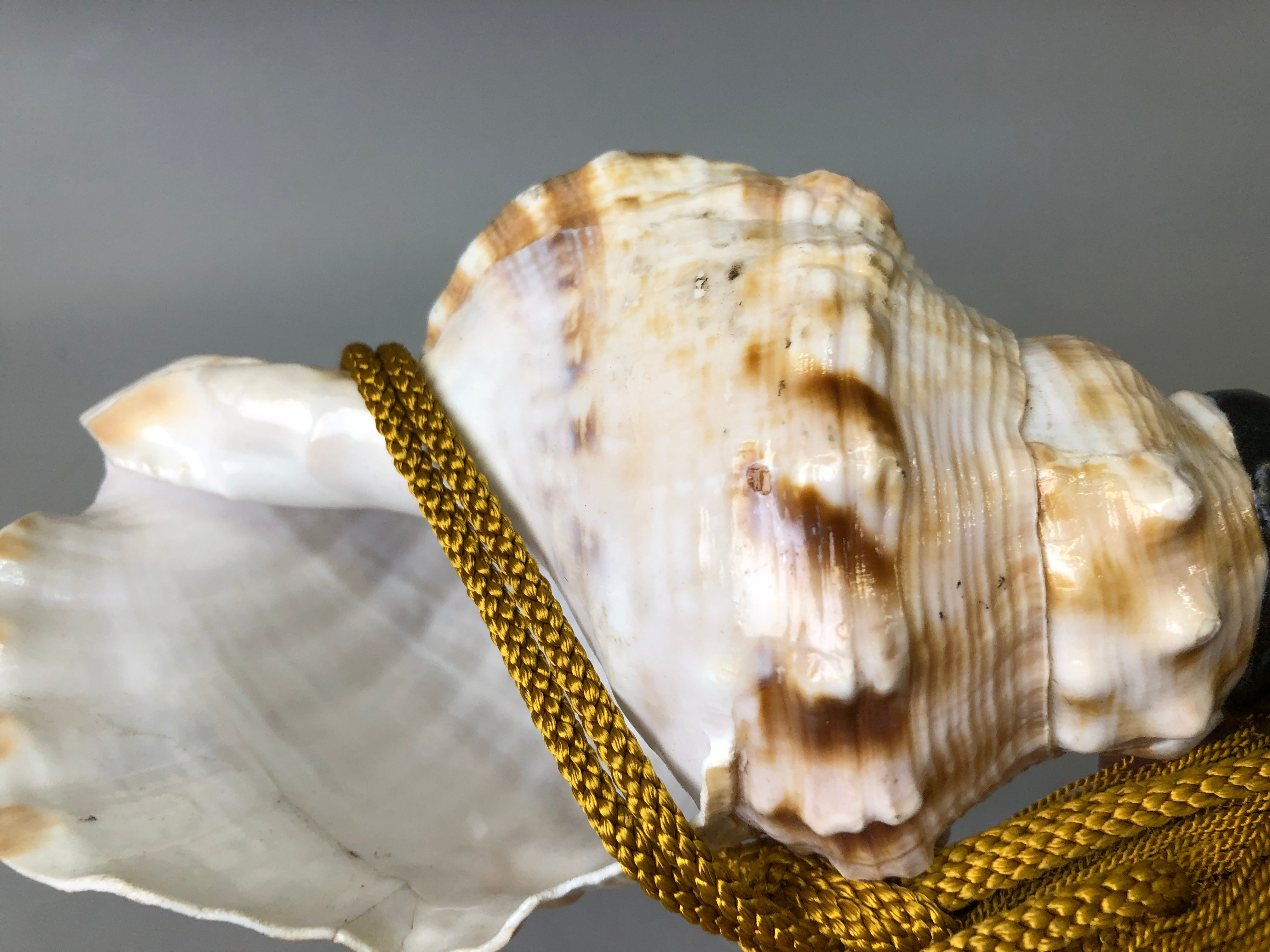 Y7627 Buddhist Altar Equipment Conch shell music instrument