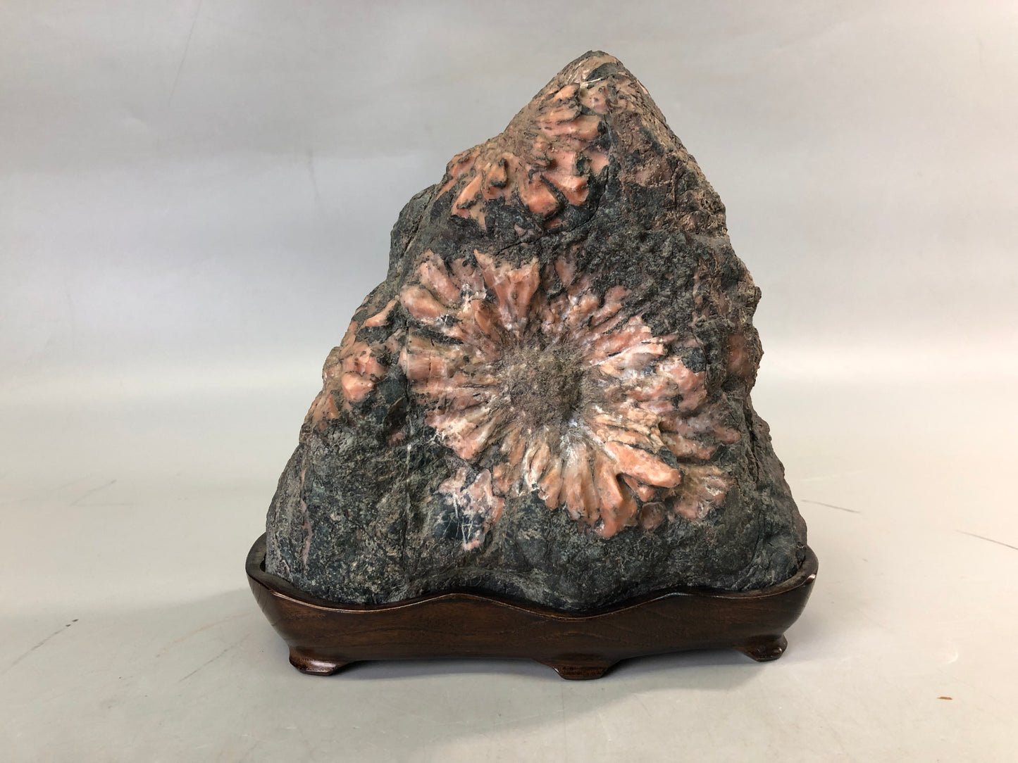 Y7653 OKIMONO Chrysanthemum stone wooden stand Japan antique decor interior