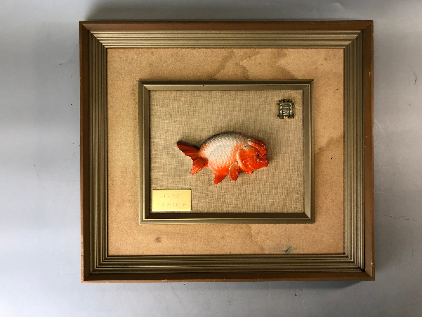 Y7661 FRAME Ranchu goldfish sign Japan antique vintage memorial award plaque