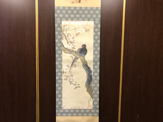 Y7843 KAKEJIKU Cherry blossoms bird signed box Japan antique hanging scroll art