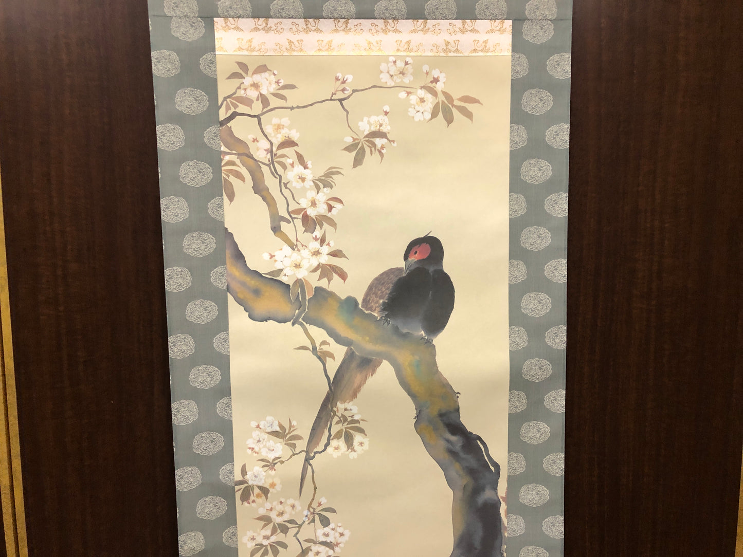 Y7843 KAKEJIKU Cherry blossoms bird signed box Japan antique hanging scroll art