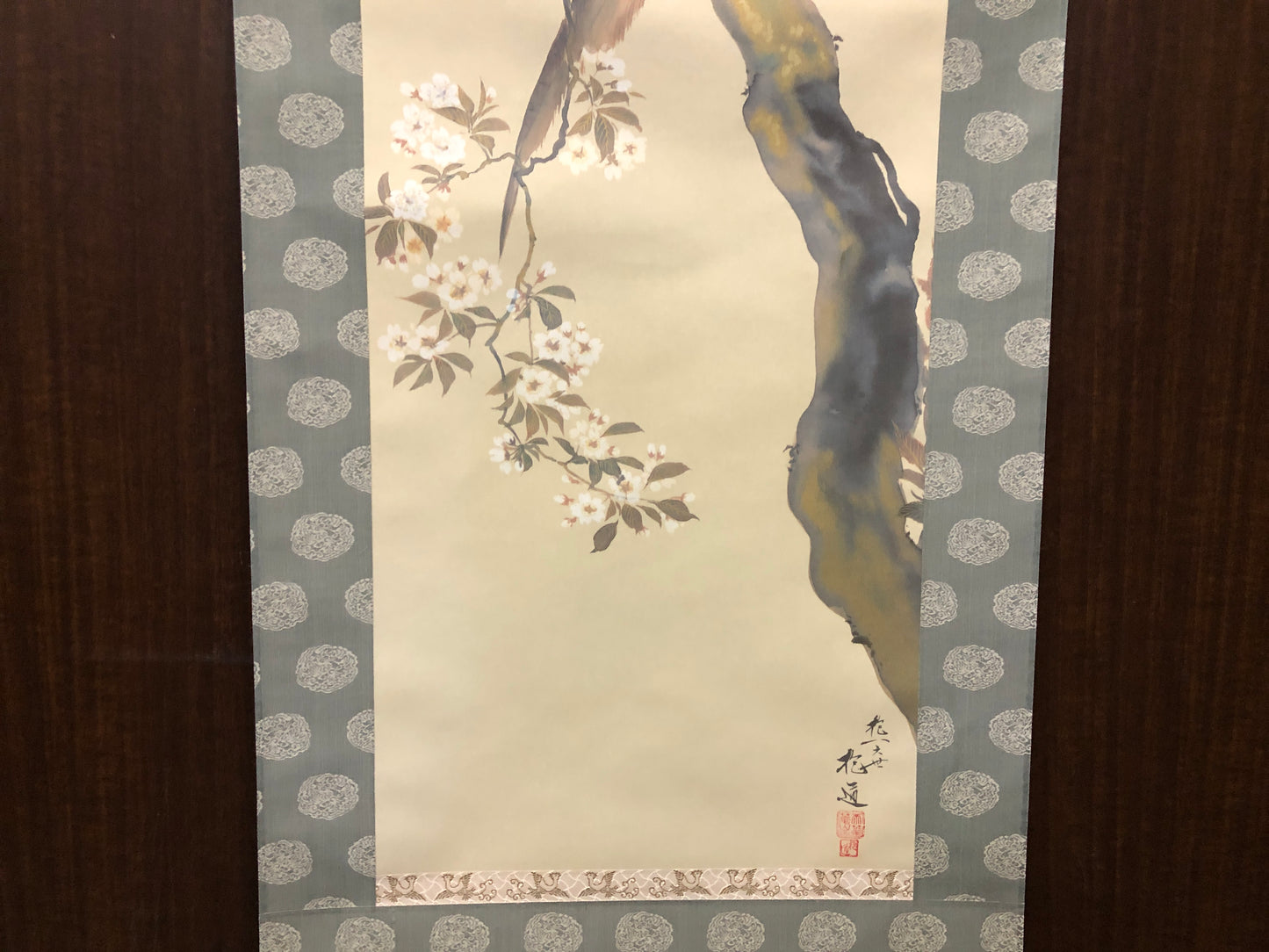 Y7843 KAKEJIKU Cherry blossoms bird signed box Japan antique hanging scroll art