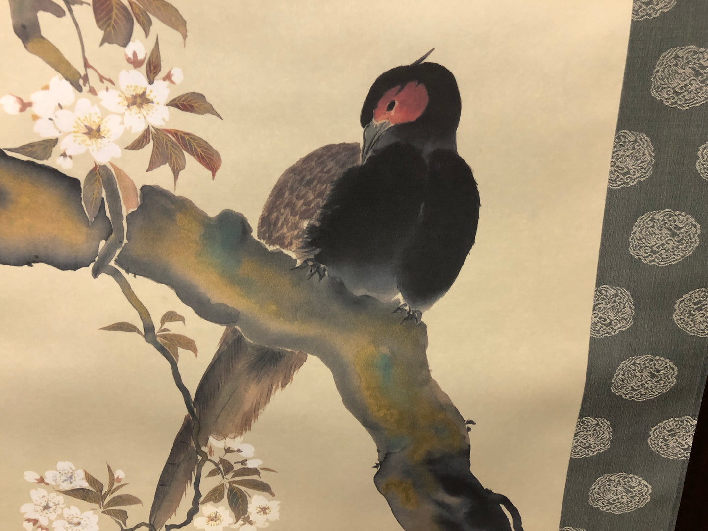 Y7843 KAKEJIKU Cherry blossoms bird signed box Japan antique hanging scroll art