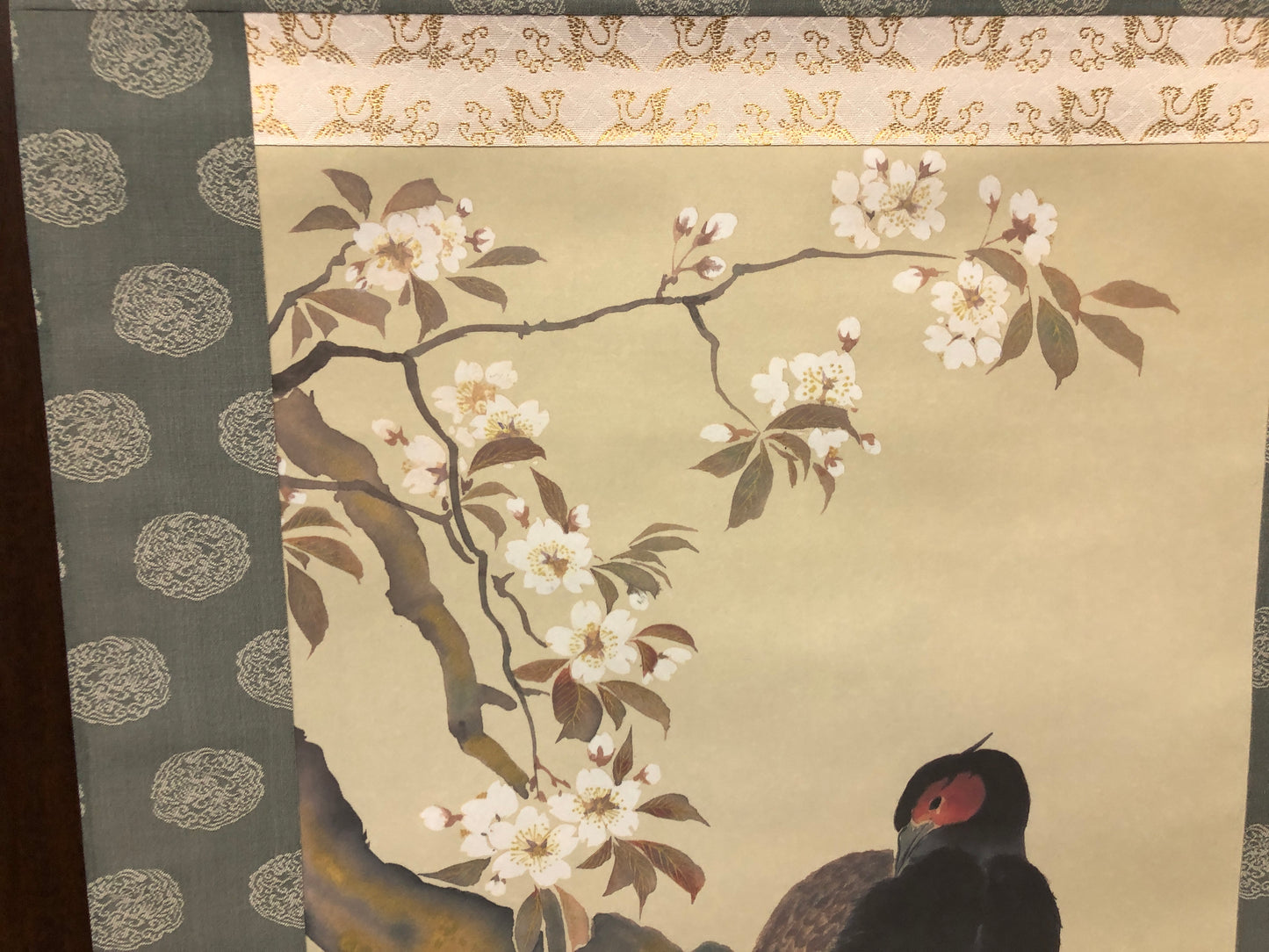 Y7843 KAKEJIKU Cherry blossoms bird signed box Japan antique hanging scroll art