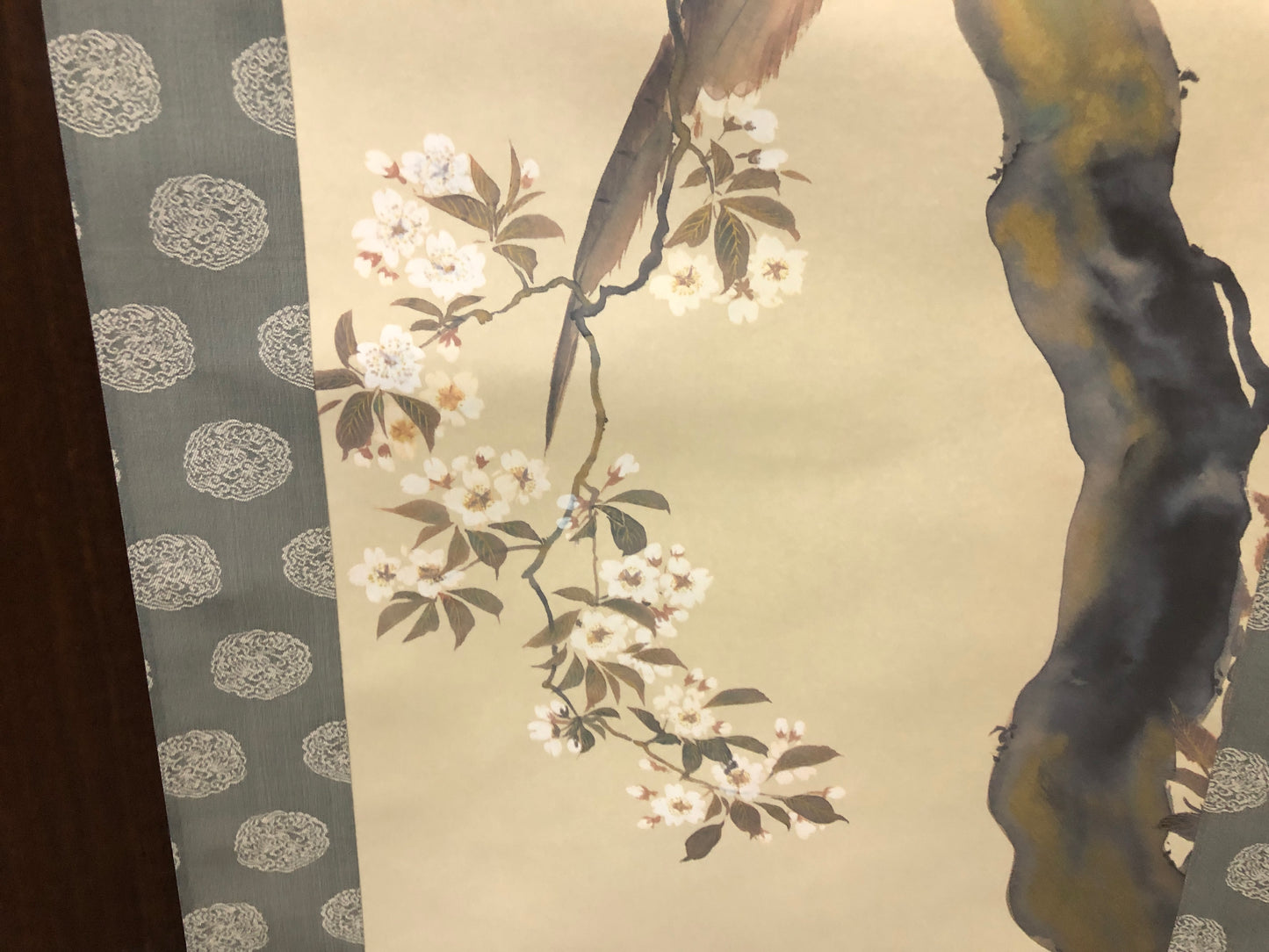 Y7843 KAKEJIKU Cherry blossoms bird signed box Japan antique hanging scroll art