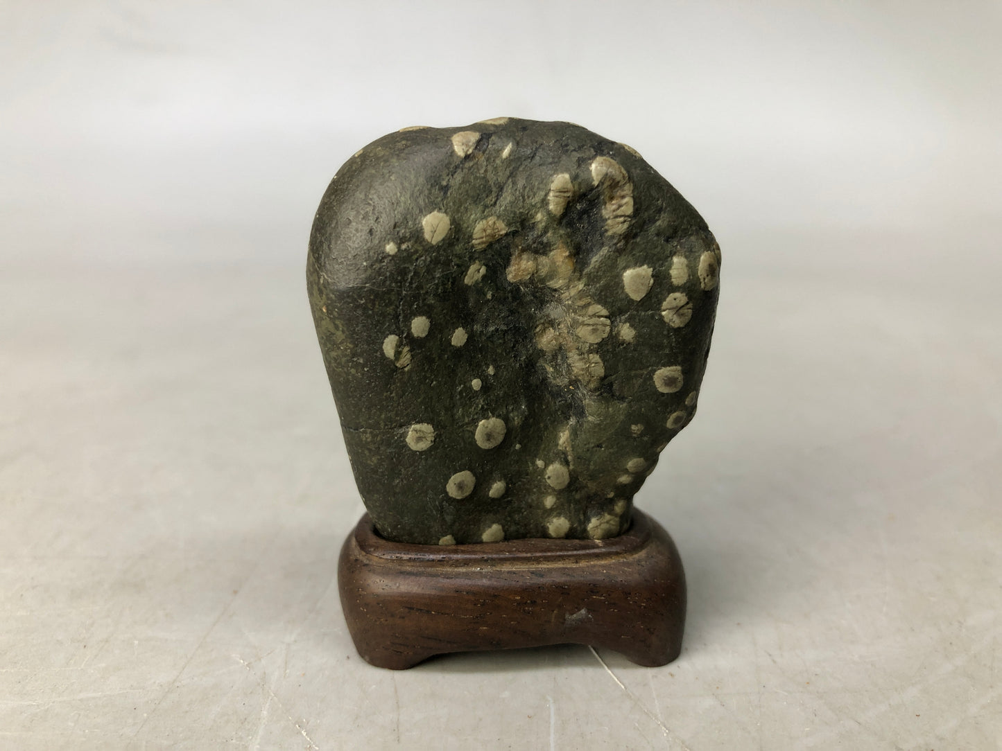 Y8264 OKIMONO Suiseki viewing stone wooden stand small Japan antique interior