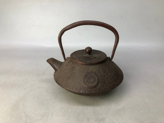 Y8343 TETSUBIN Iron Nanbu Nambu tea kettle teapot signed Japan antique pot