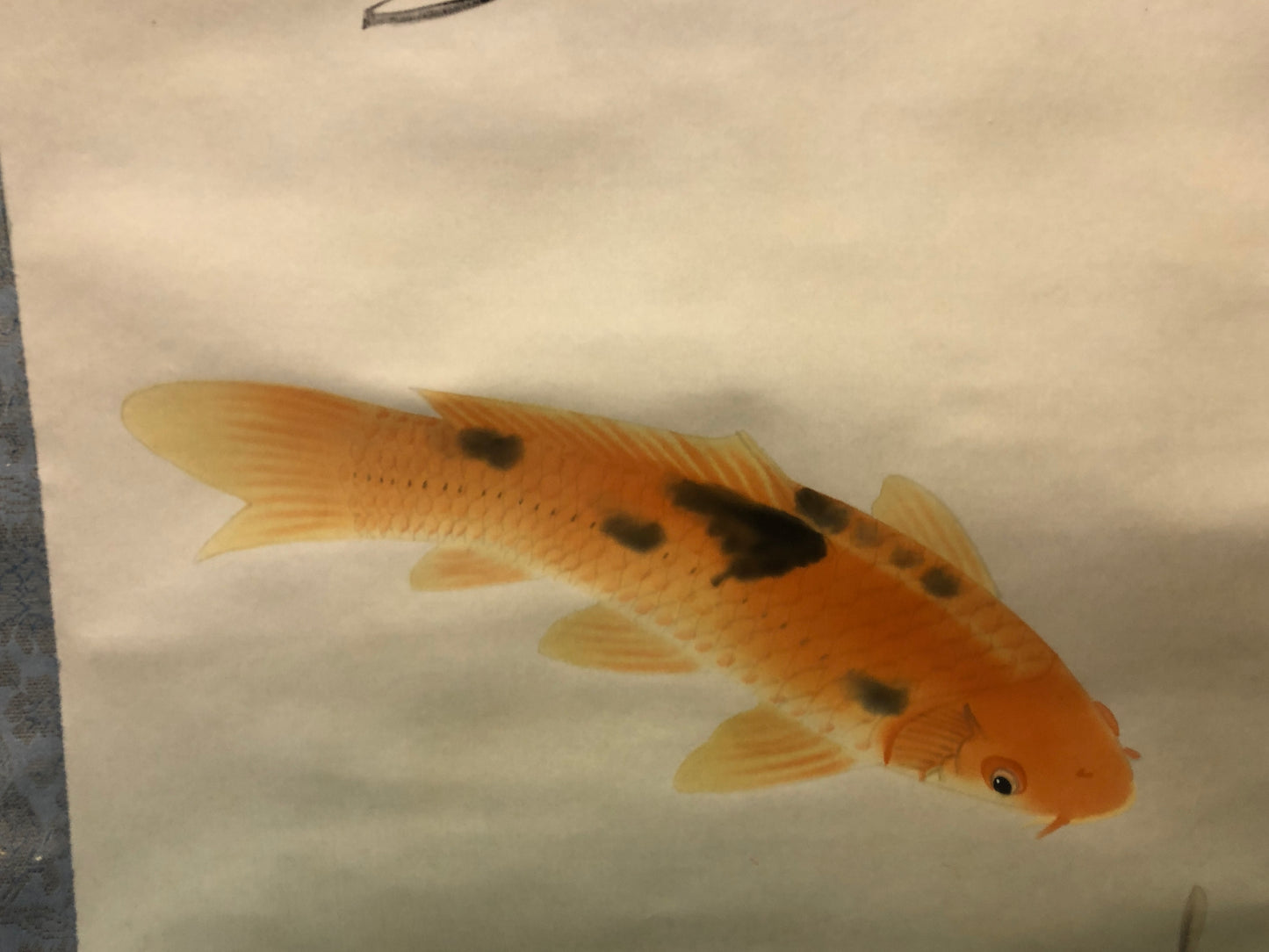 Y8429 KAKEJIKU 2 Carps Pine signed box Japan antique hanging scroll interior art