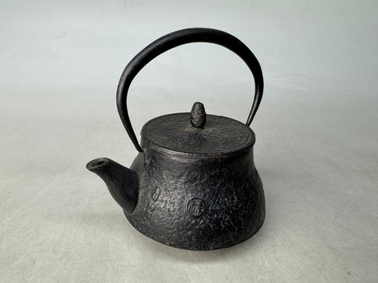 Y8941 TETSUBIN Iron Nanbu teapot small signed Japan antique tea cereony sencha