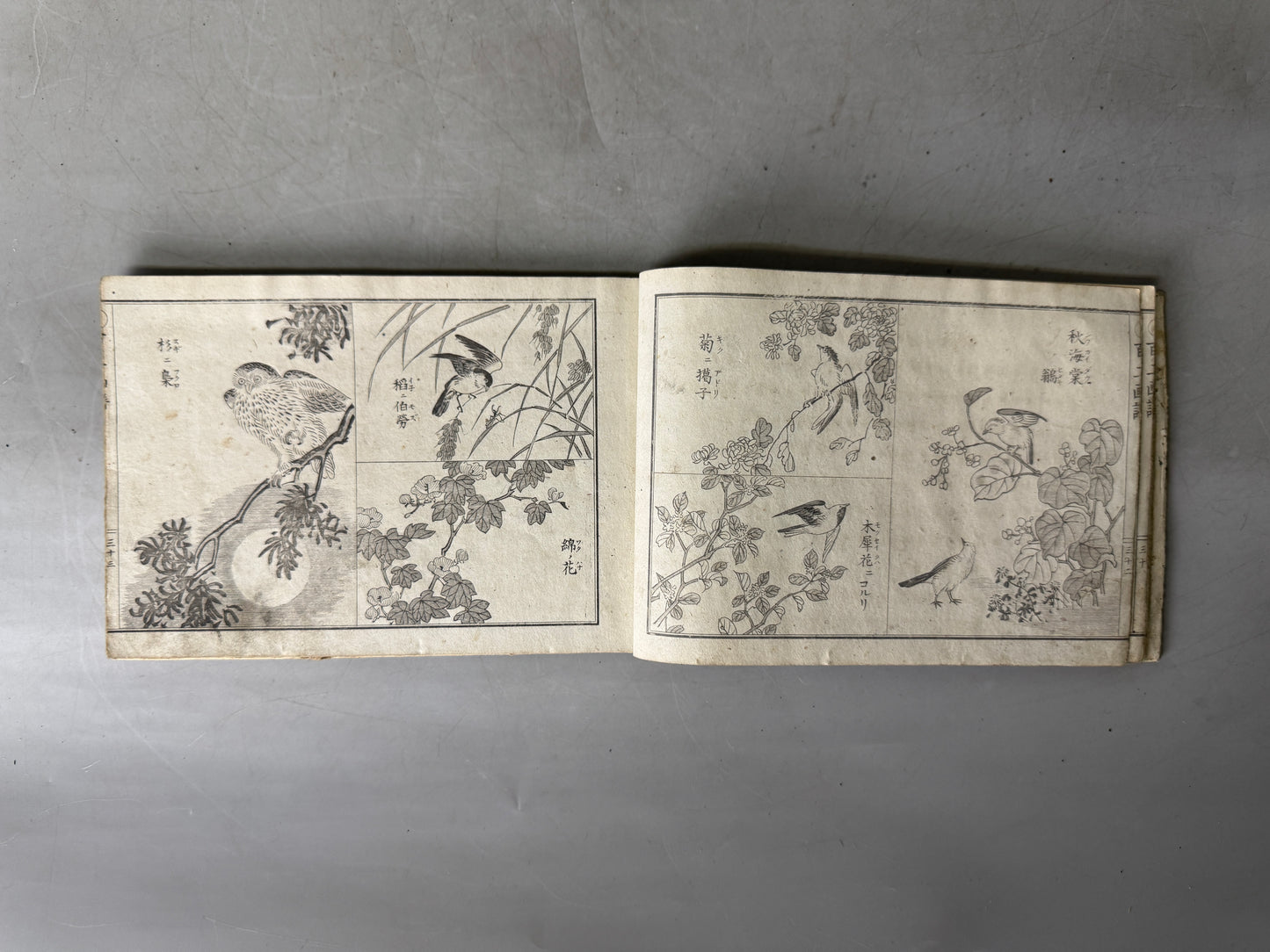 Y9032 WOODBLOCK PRINT Japanese illustrated book Japan Ukiyoe antique document