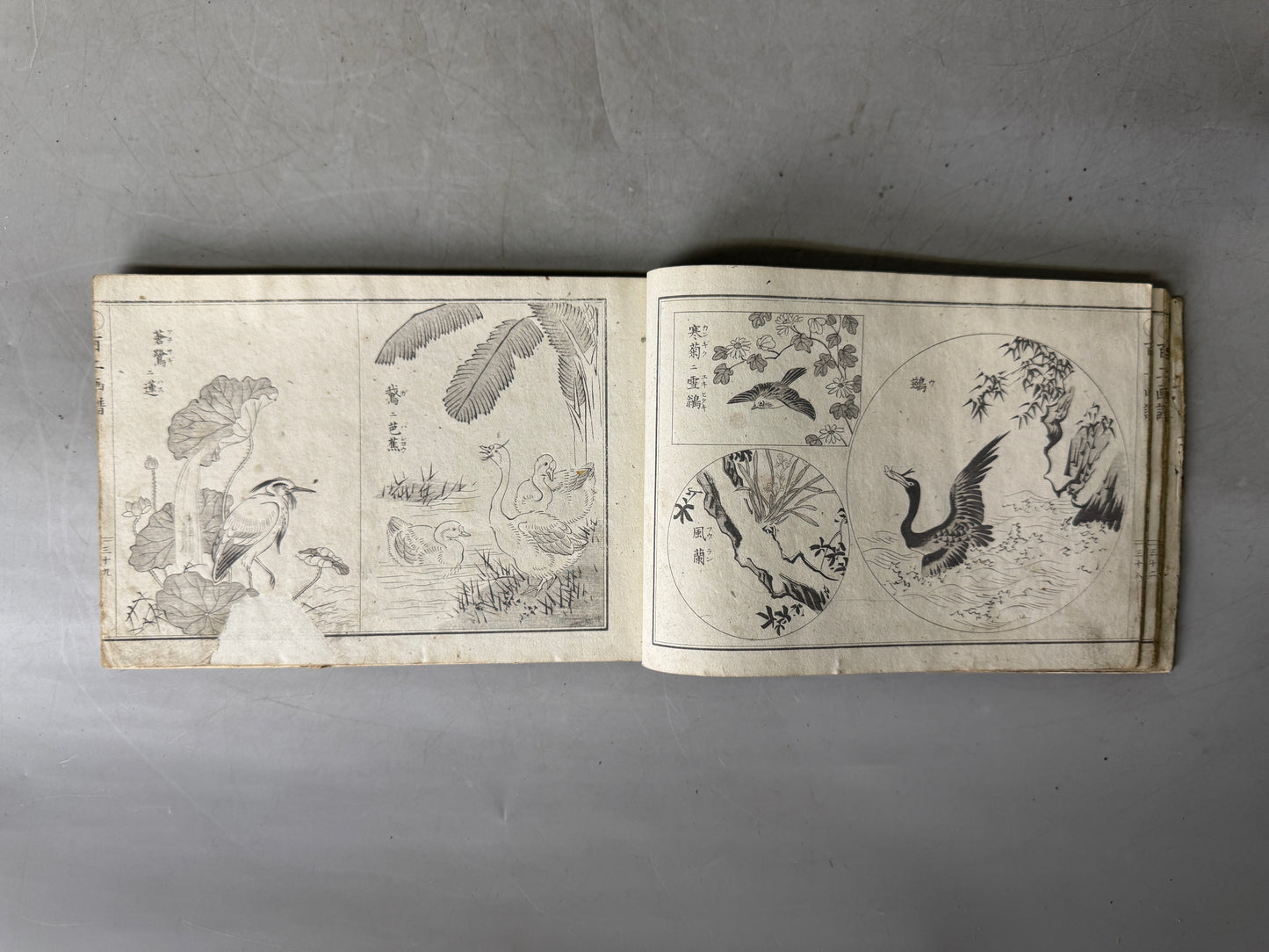 Y9032 WOODBLOCK PRINT Japanese illustrated book Japan Ukiyoe antique document