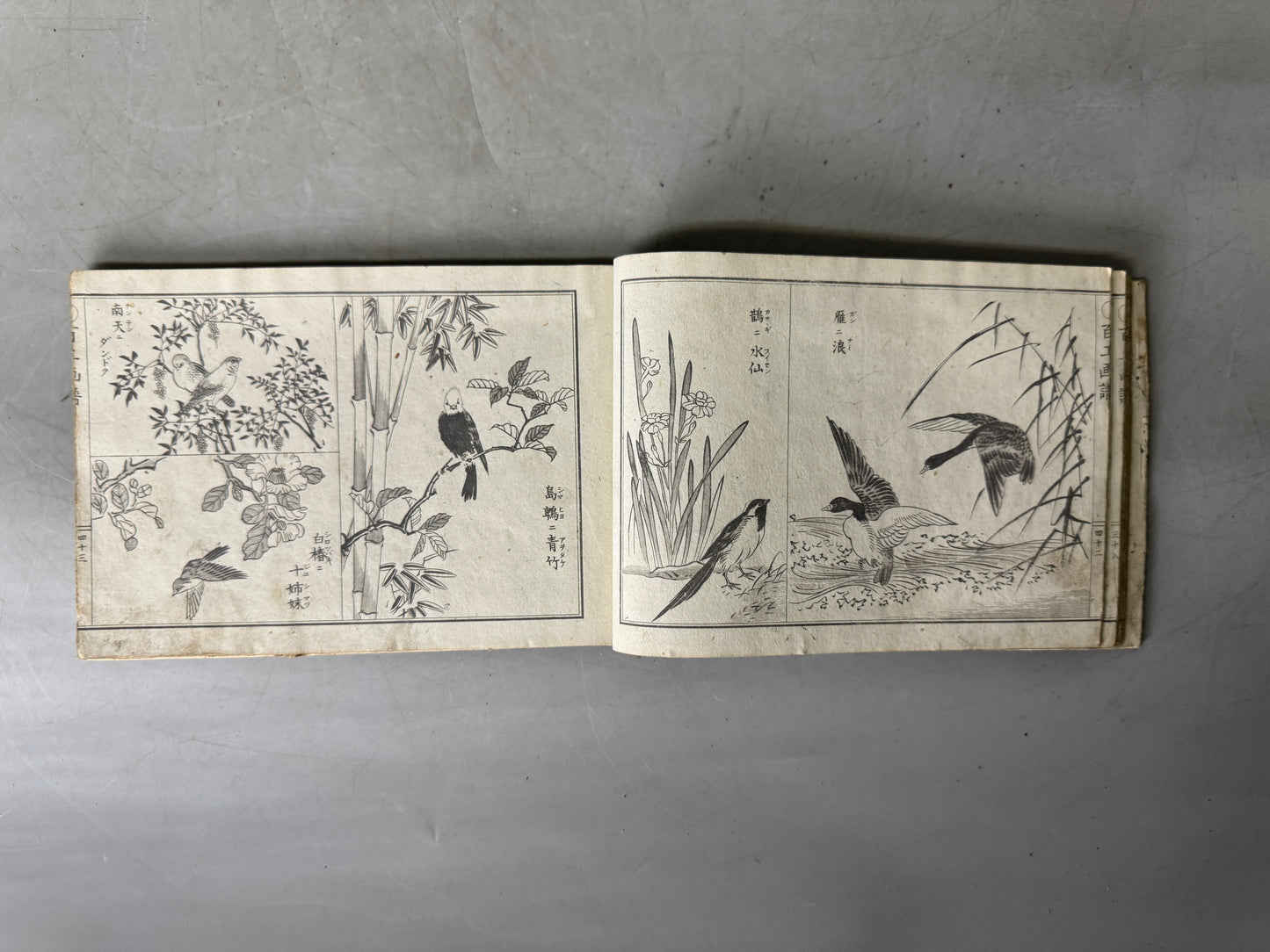 Y9032 WOODBLOCK PRINT Japanese illustrated book Japan Ukiyoe antique document