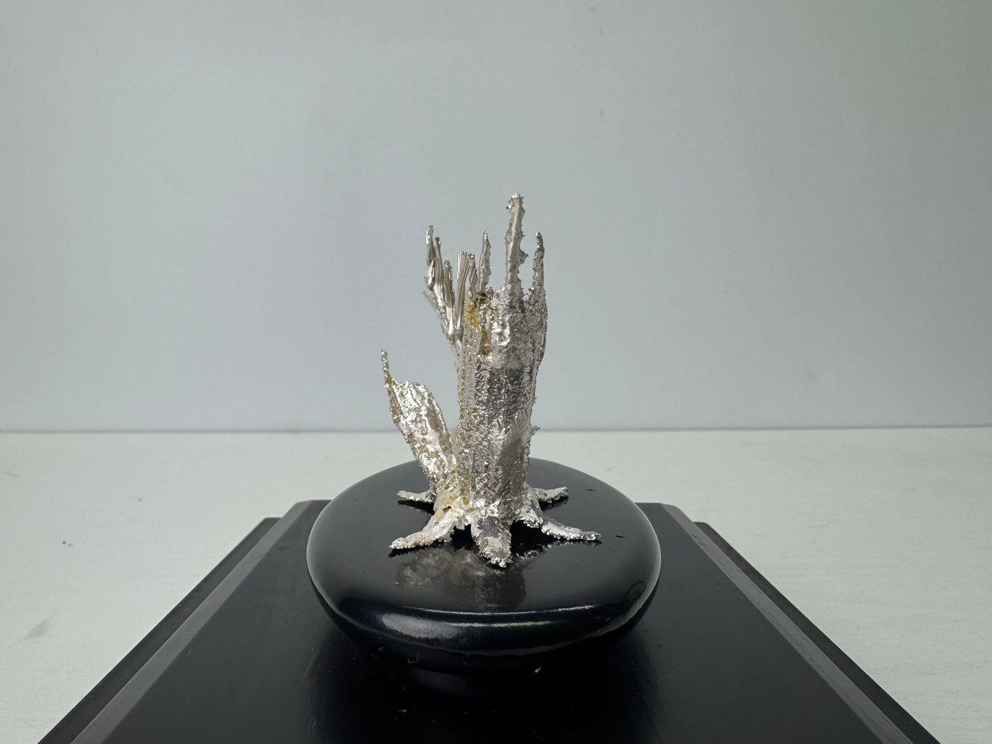 Y9199 OKIMONO Pure Silver Pine figure glass case Japan antique interior decor