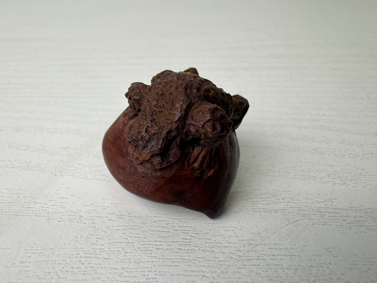 Y9300 NETSUKE wood carving Chestnut Frog Japan antique kimono accessory fashion