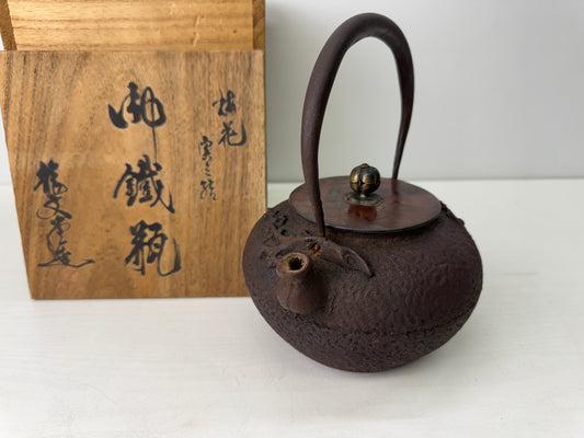 Y9511 TETSUBIN Iron kettle teapot signed box Japan antique tea ceremony sencha