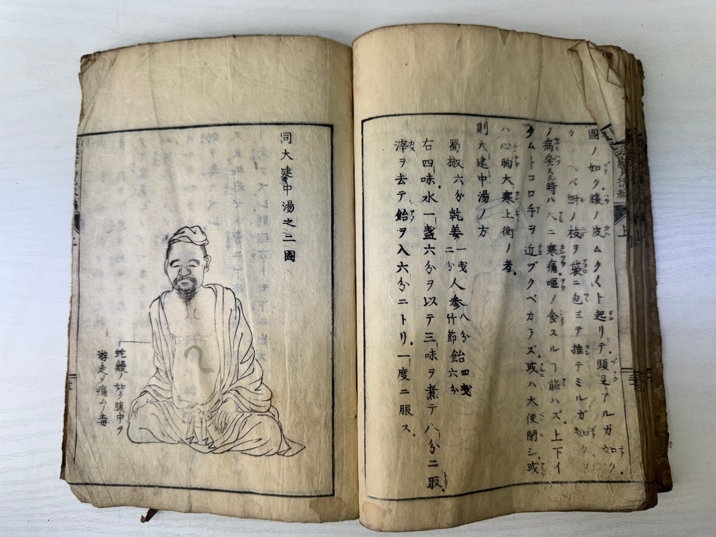 Y9542 WOODBLOCK PRINT Japanese medical book medicine Japan antique academic