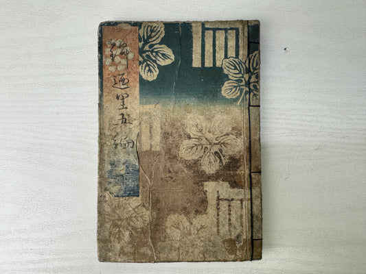 Y9544 WOODBLOCK PRINT Japanese Illustrated book Edo period Japan antique Ezoshi