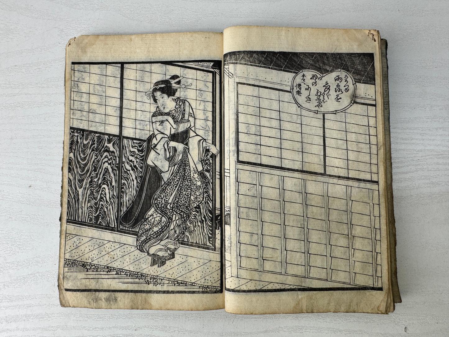 Y9544 WOODBLOCK PRINT Japanese Illustrated book Edo period Japan antique Ezoshi