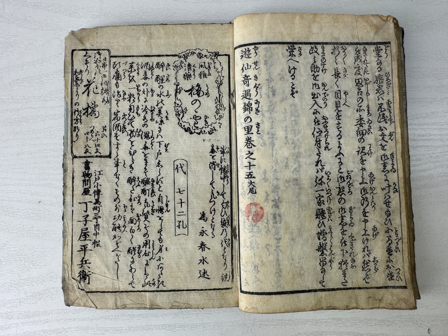 Y9544 WOODBLOCK PRINT Japanese Illustrated book Edo period Japan antique Ezoshi
