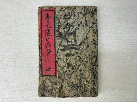 Y9545 WOODBLOCK PRINT Japanese Illustrated book Beautiful women Japan antique