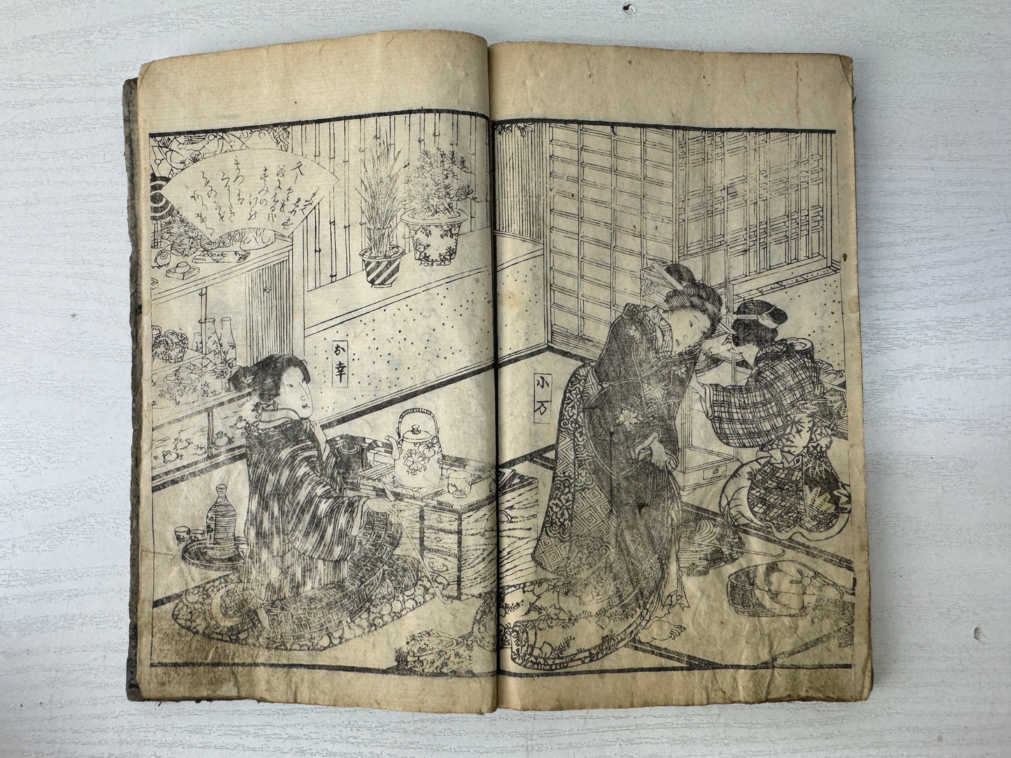 Y9545 WOODBLOCK PRINT Japanese Illustrated book Beautiful women Japan antique
