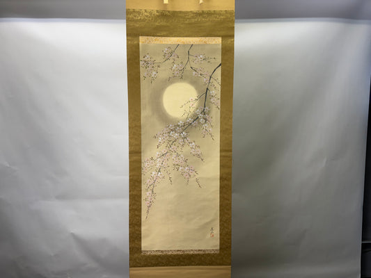 Y9590 KAKEJIKU Cherry blossoms Night Moon viewing signed Japan antique interior