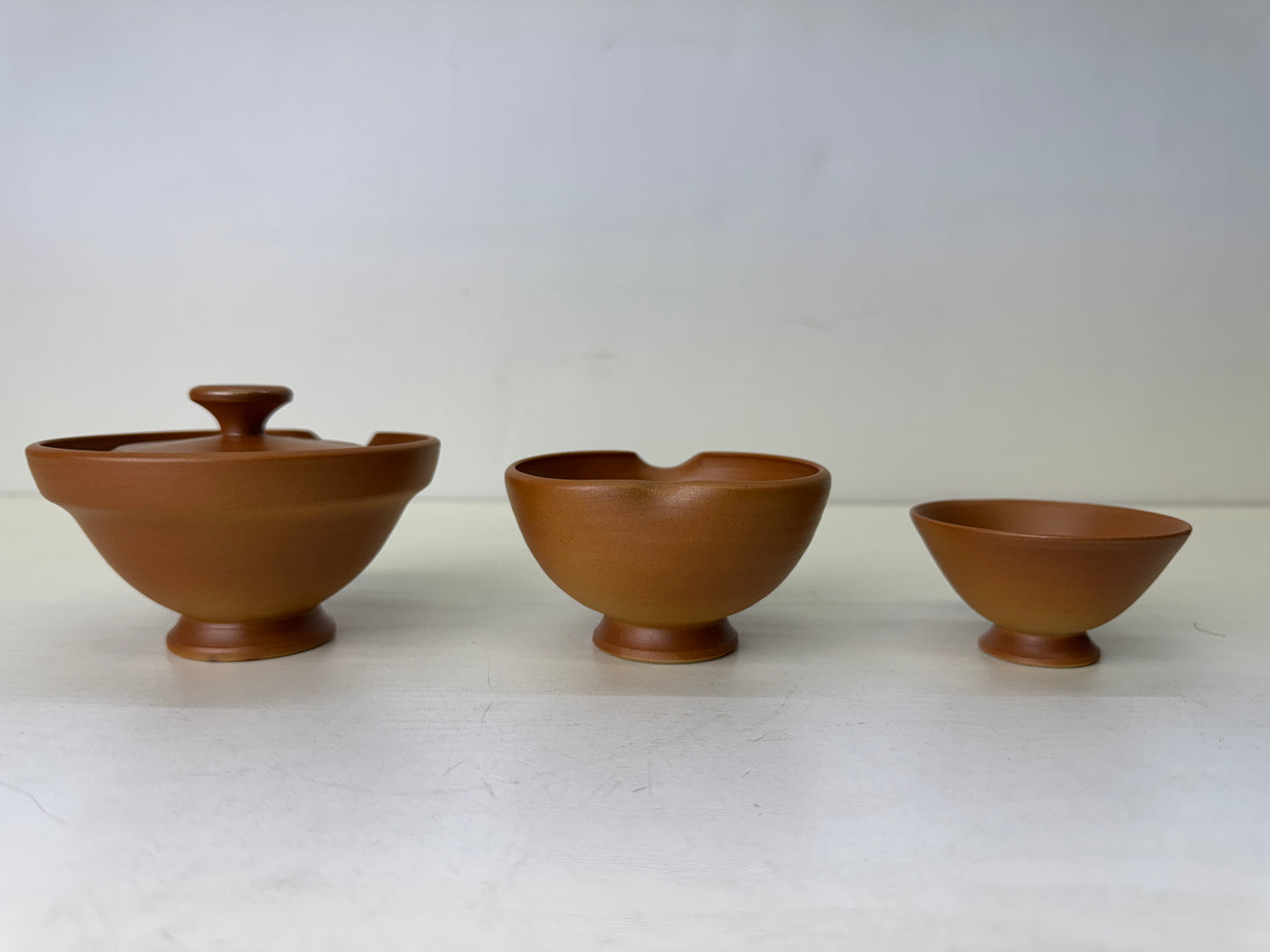 Y9662 CHAWAN Shigaraki-ware teapot pot cup set signed box Japan antique Sencha