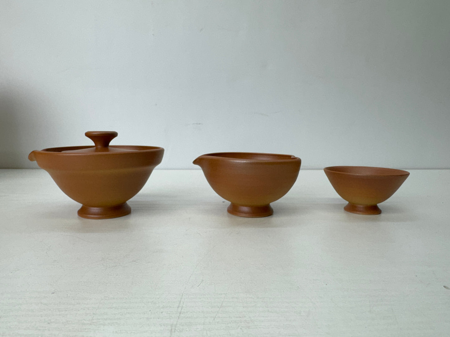 Y9662 CHAWAN Shigaraki-ware teapot pot cup set signed box Japan antique Sencha