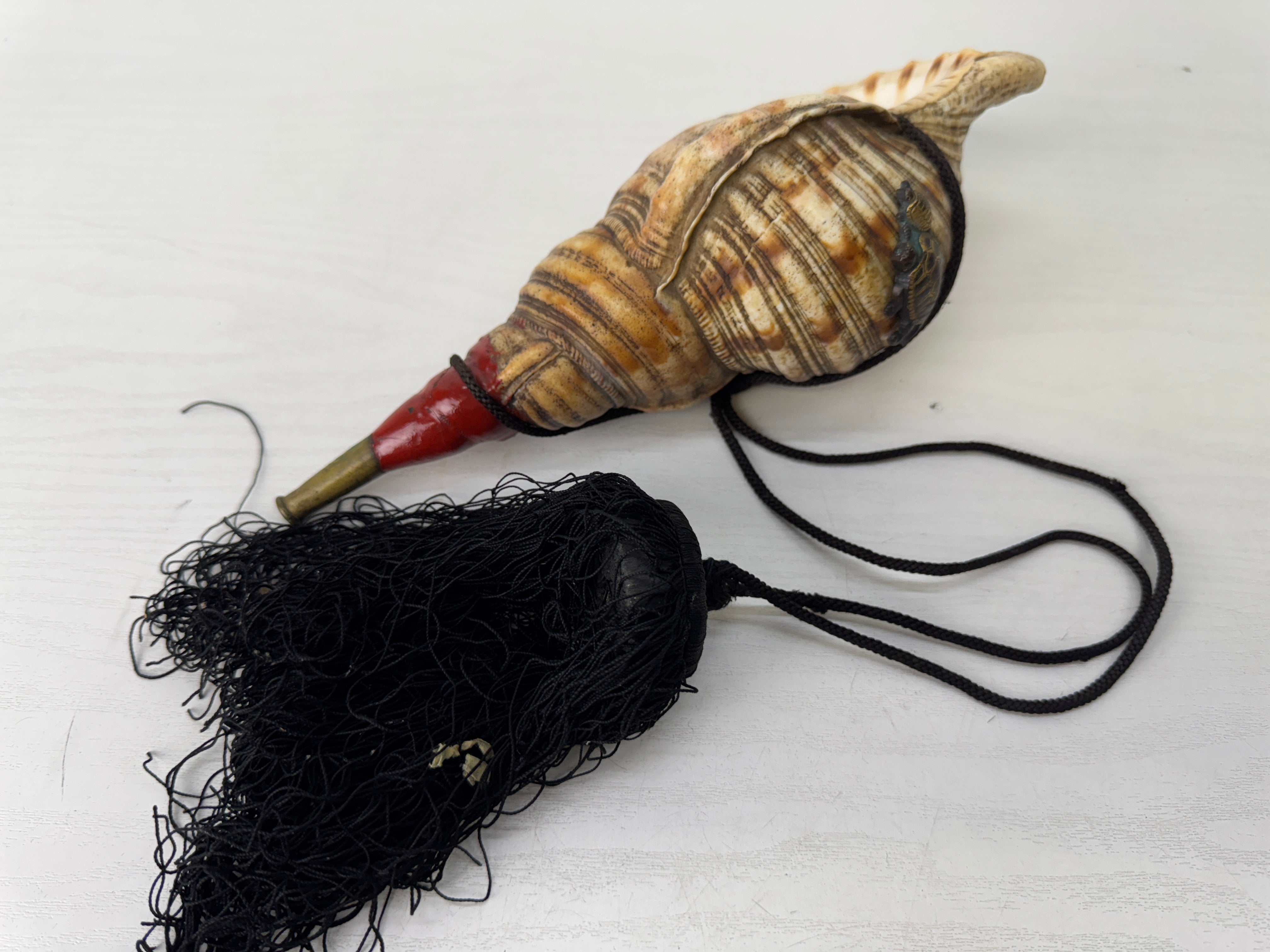Y9679 HORAGAI Conch shell musical instrument Samurai Japan antique bus ...