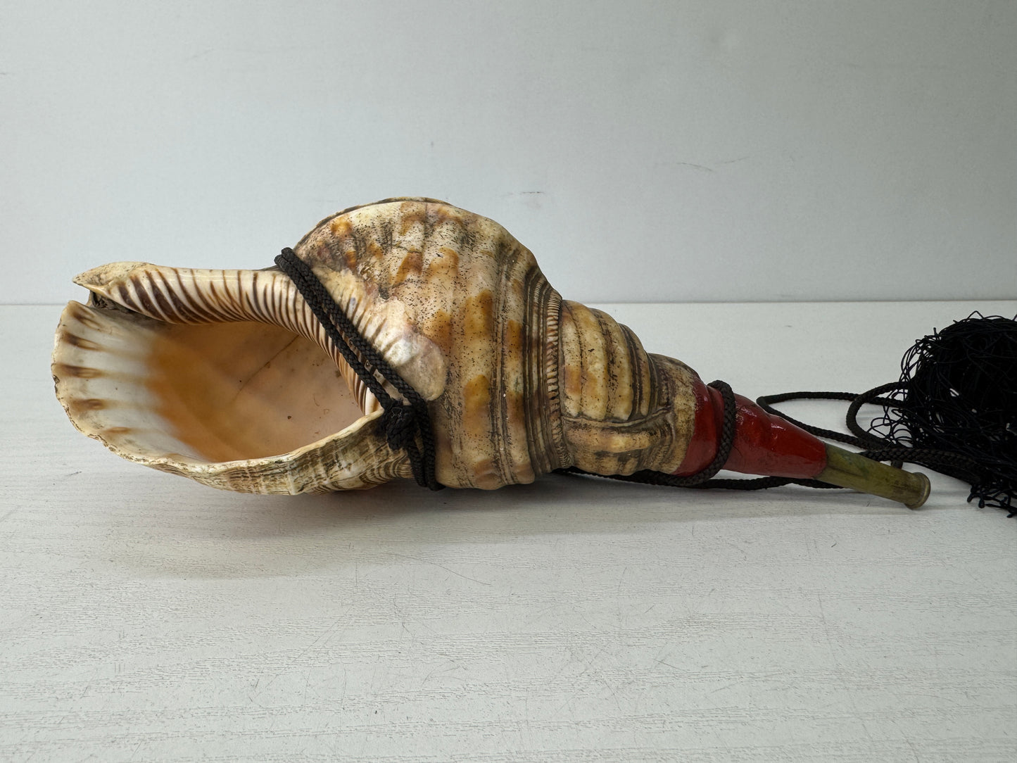 Y9679 HORAGAI Conch shell musical instrument Samurai Japan antique bushi bugu