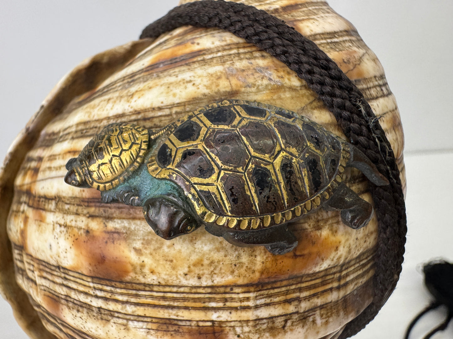 Y9679 HORAGAI Conch shell musical instrument Samurai Japan antique bushi bugu