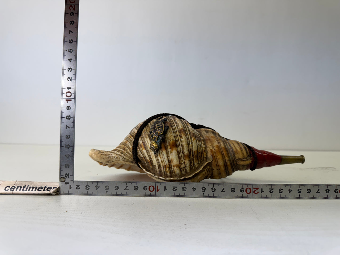 Y9679 HORAGAI Conch shell musical instrument Samurai Japan antique bushi bugu