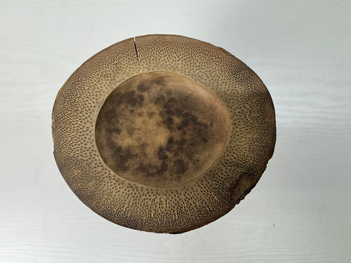 Y9686 FLOWER VASE Bamboo signed box Japan antique ikebana floral arrangement